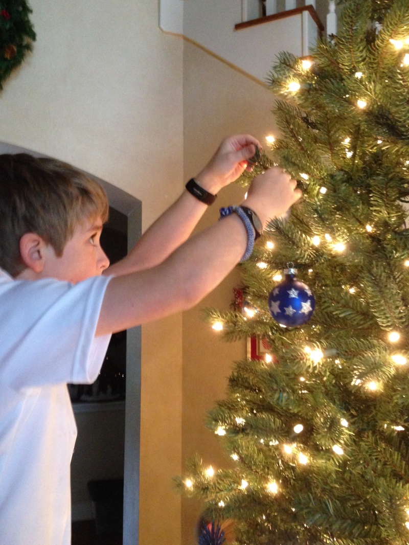 2013-11-30 15-01-53 Pre Christmas Decor.jpg